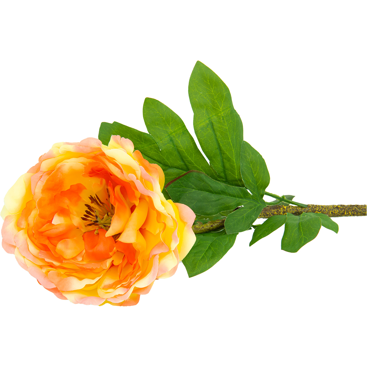Flor Peonia Sencilla Amarilla/naranja | Flores | decoracion